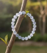 Calming Communicator - Image 2