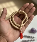 Purifies Energy - Image 2